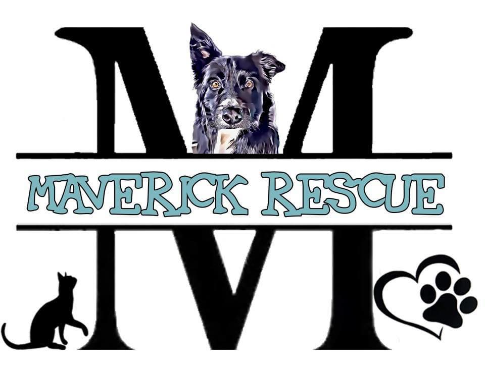 Maverick Rescue